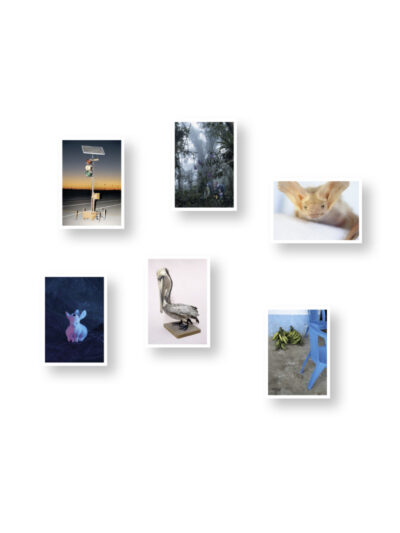 After Nature Prize 25 – Postkartenset