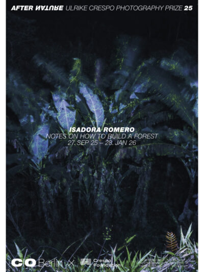Poster: Isadora Romero – Notes On How To Build A Forest