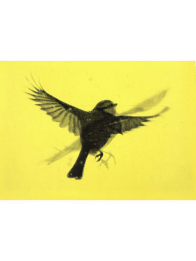 Edition: Dörte Eißfeldt