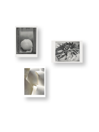 Dörte Eißfeldt – Postkartenset