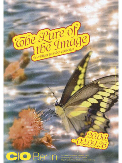 Poster: The Lure of the Image