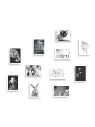 Walter Schels – Postkartenset