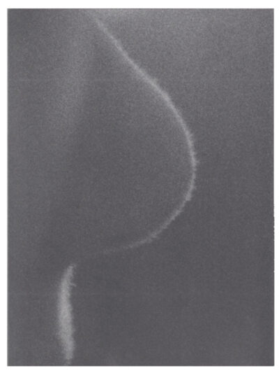 Jochen Lempert - Plant Volatiles